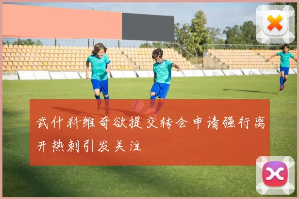 武什科维奇欲提交转会申请强行离开热刺引发关注