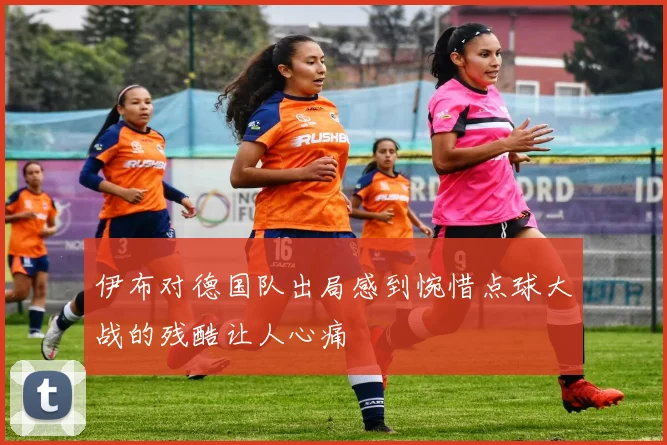 伊布对德国队出局感到惋惜点球大战的残酷让人心痛