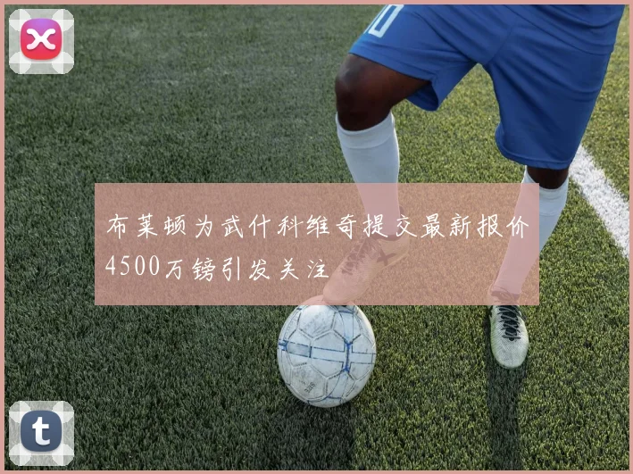 布莱顿为武什科维奇提交最新报价4500万镑引发关注